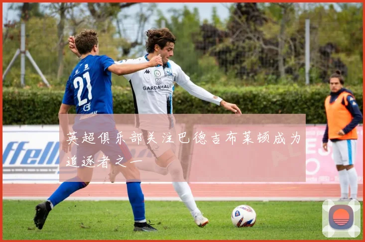 英超俱乐部关注巴德吉布莱顿成为追逐者之一